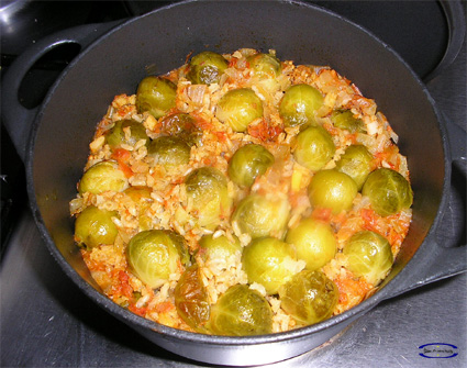 ArrozRojoColBruselas03