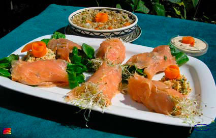 RolloSalmonhierbasgerminados